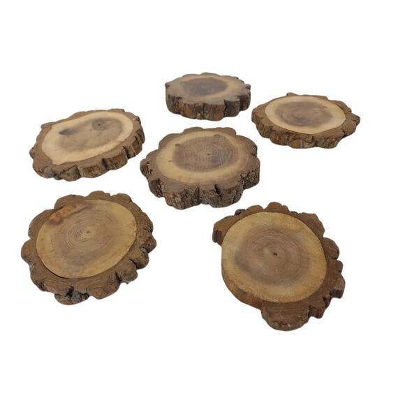 Vintage Set of 6 Rustic Wood Bark Coasters, Hardwood Wooden Primitive - Picture 4 of 4